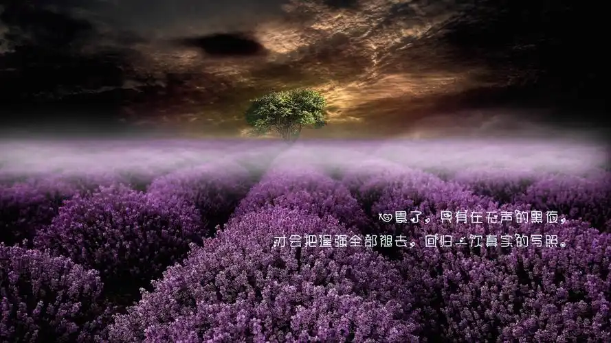 一个人心累了伤感带字图片,非主流-回车桌面