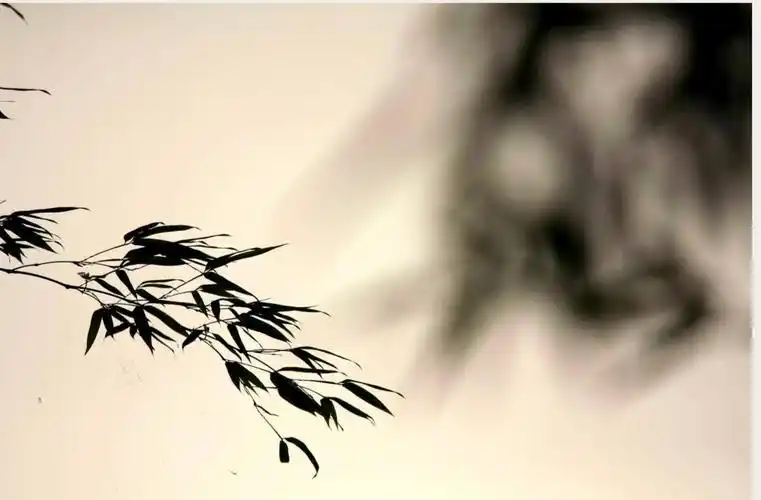 一缕清风抚平你的心