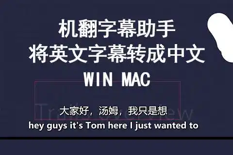 机翻字幕助手,将英文转成中文字幕 win mac版