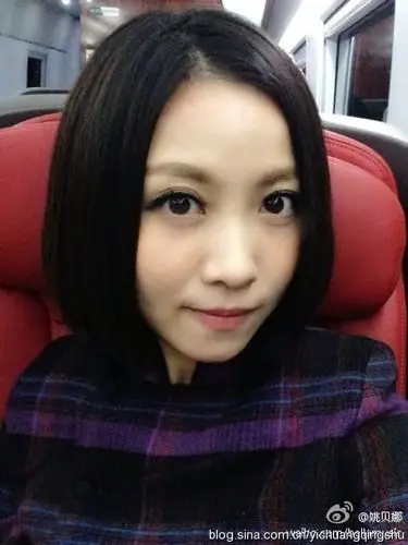 著名青年歌手姚贝娜因乳腺癌复发,于2015年1月16日16点55分病逝于北京