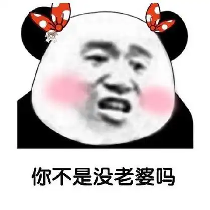 你不是没老婆吗 - 熊猫头借钱表情包