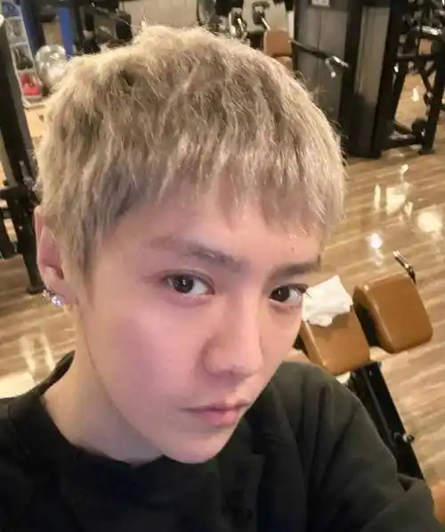 鹿晗闷声干大事处女作空降惊喜粉丝震惊之余幸福爆棚