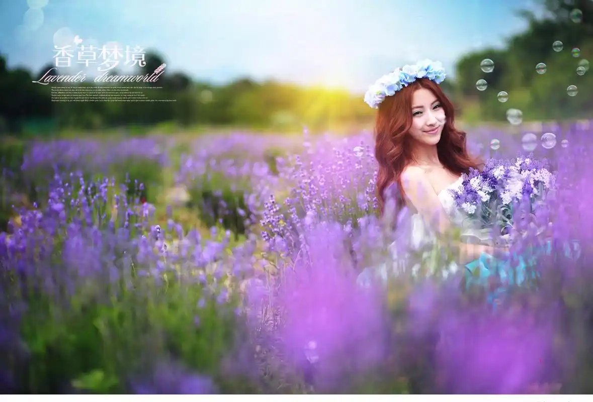 梦幻薰衣草美女唯美写真桌面壁纸