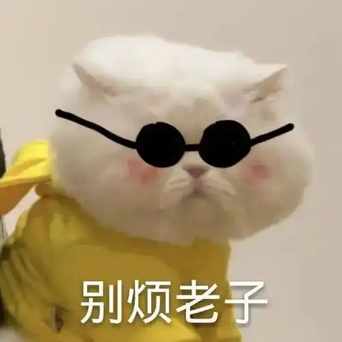 姐姐好辣!个性沙雕表情包