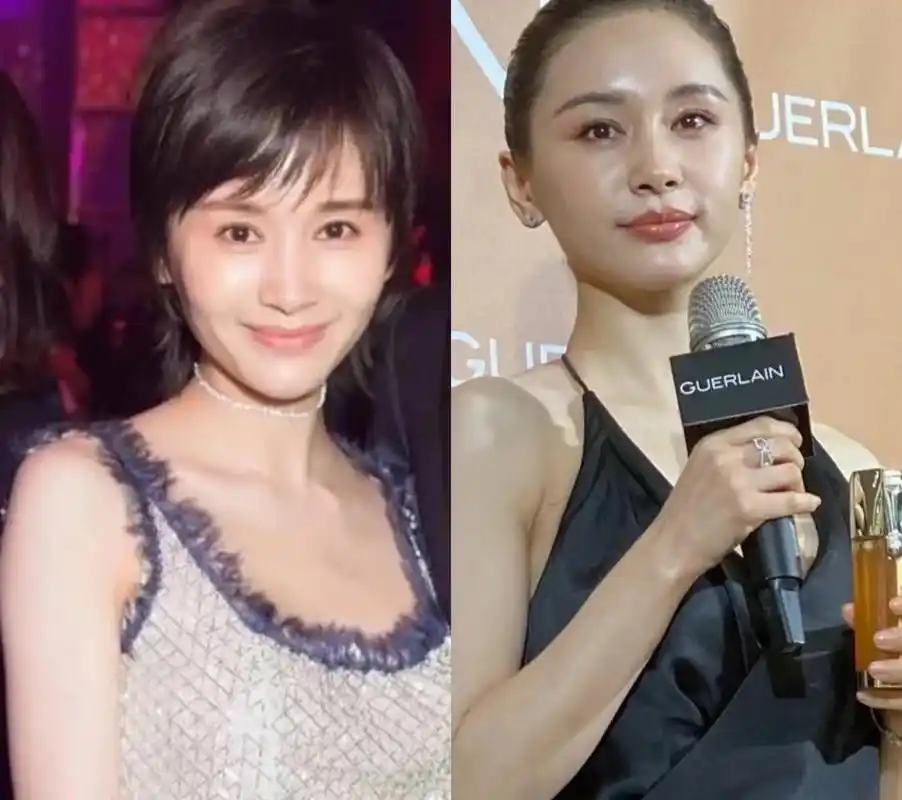 王子文填充界的天花板! 她到底做了啥?