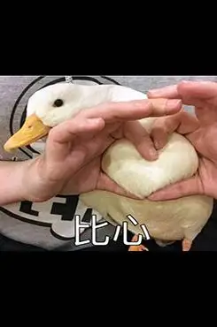 万能沙雕表情包素材图片