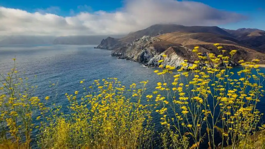 macos catalina动态5k高清桌面壁纸