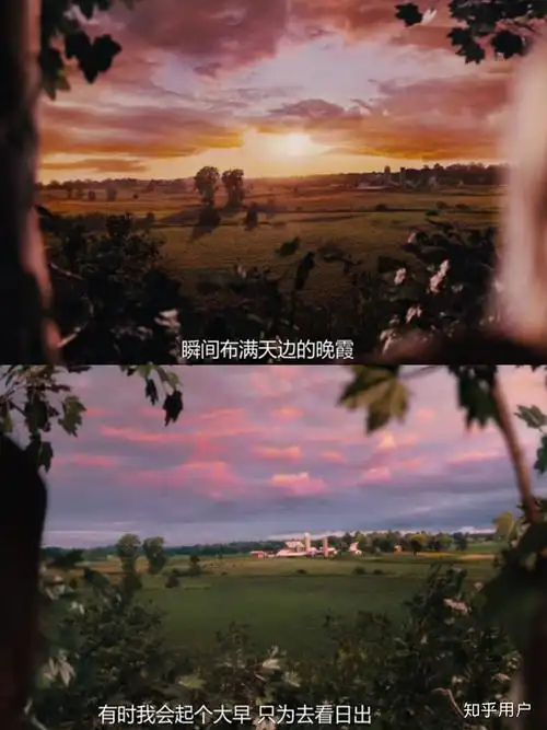 怦然心动电影中有哪些截图触动了你