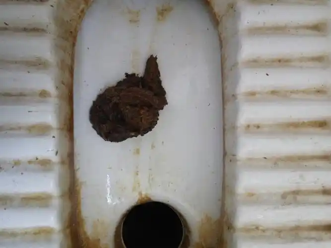 胃痛,大便呈下图颜色,怎么办?