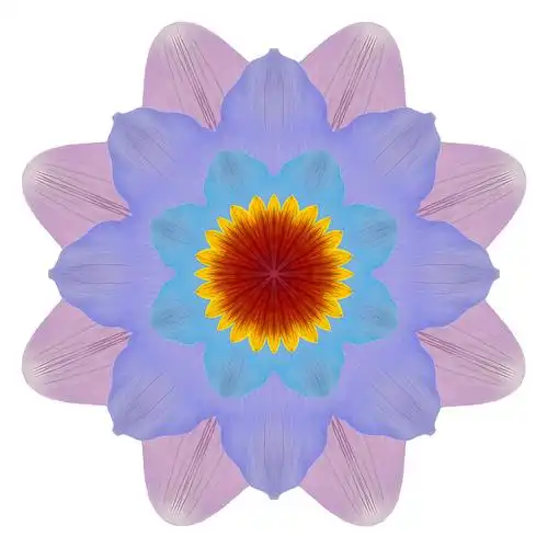 曼陀罗来自干压花花瓣樱草属植物月见草曼荼罗是佛教印度教瑜伽的象征