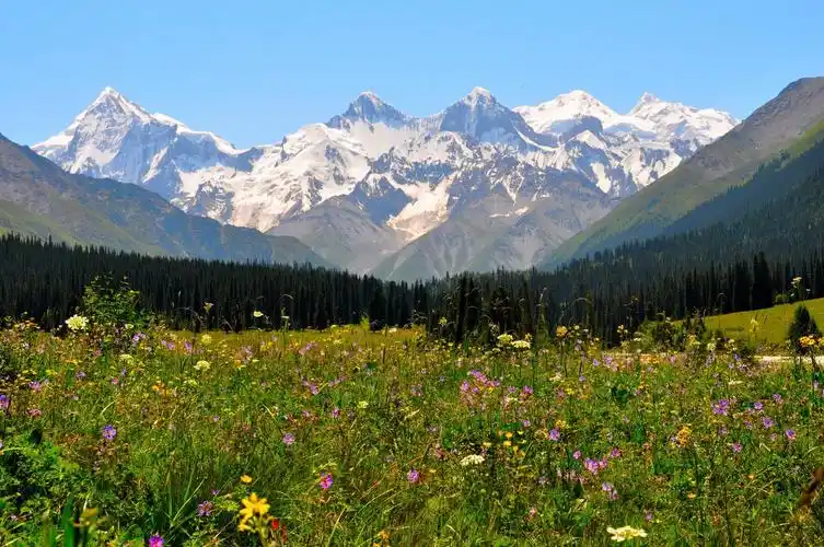 新疆旅游攻略(38)新疆景区景点关键字--新疆著名冰川