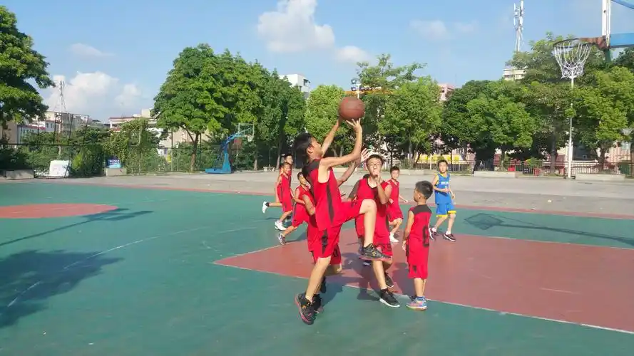 2020年宏炫周末篮球培训班开始招生啦!