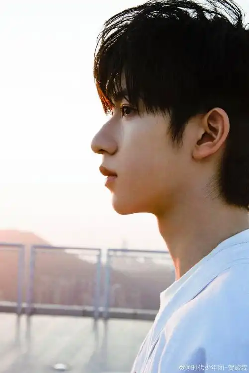 贺峻霖白发侧颜