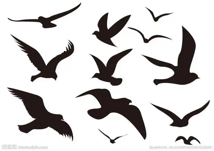 简笔画海鸥简笔画海鸥简单又好看