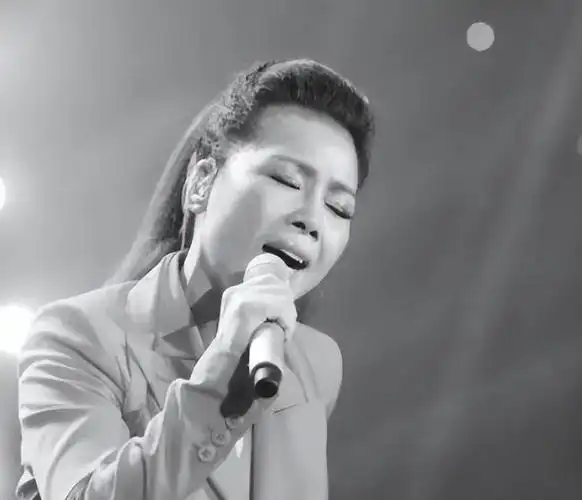 田震为什么退出歌坛(田震一生正直为何不见了踪影)-第42张图片-趣盘玩