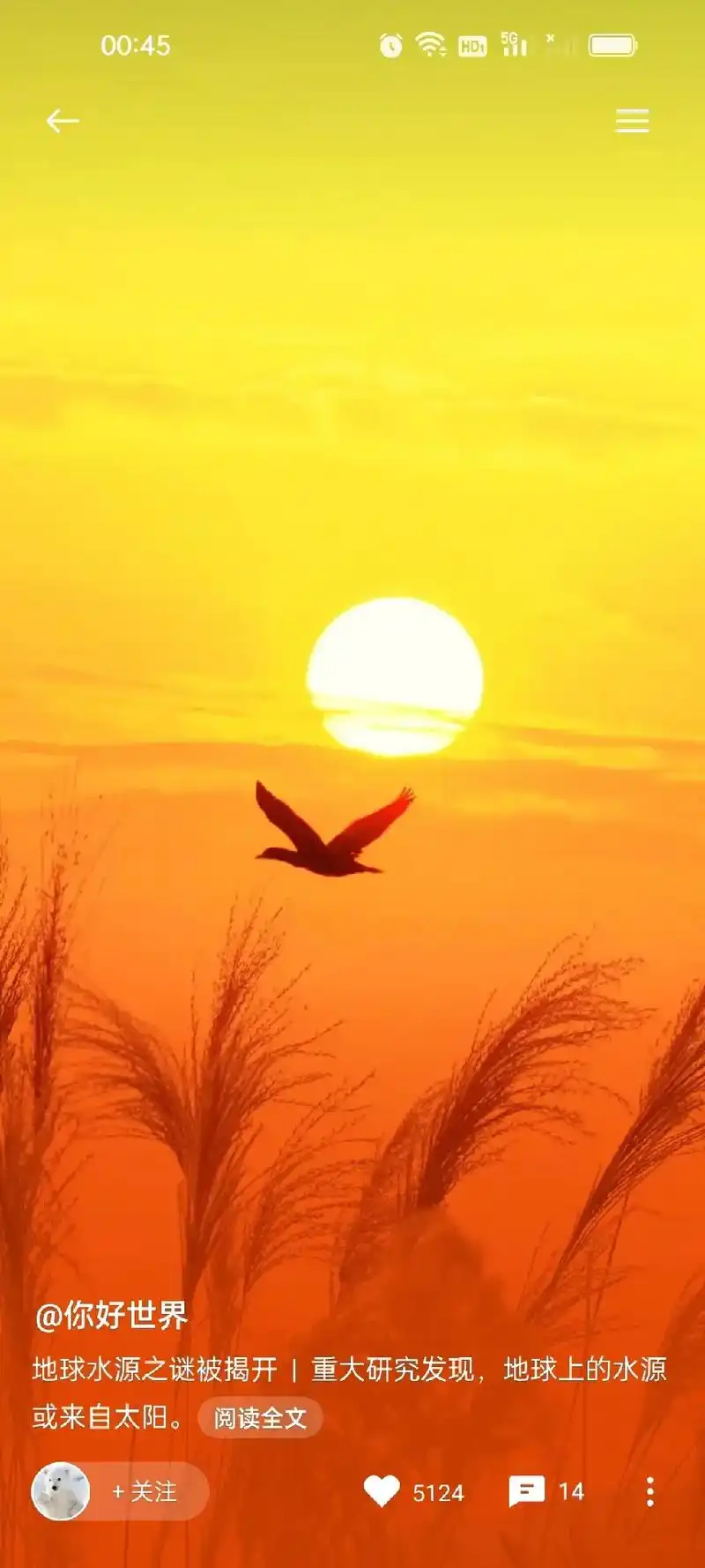 日出东方催人醒不及晚霞懂我心 !#就算无人欣赏也要独自芬芳 - 抖音