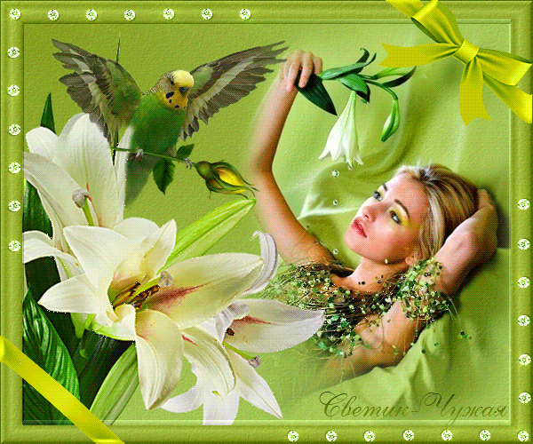 吾主题社区: cool34champs 欢迎您来到我的吾主题!