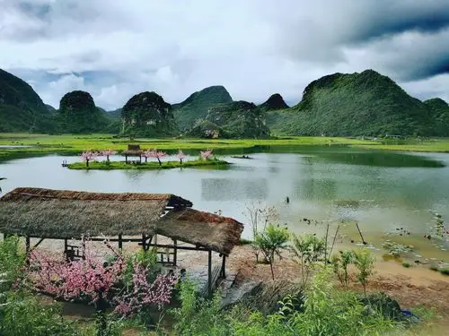 三生三世十里桃花