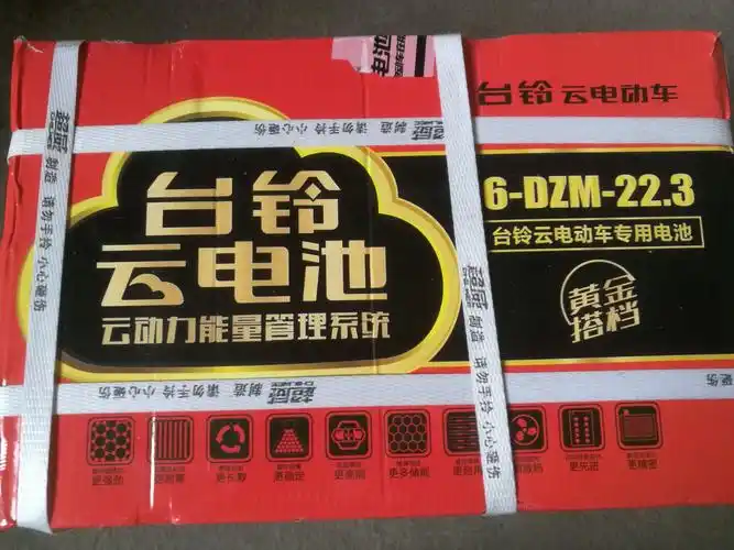 台铃云动力电瓶