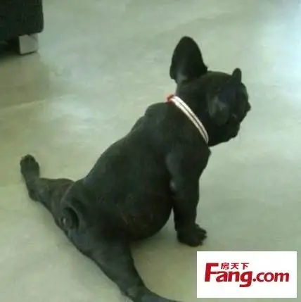 劈腿"姐"横出江湖