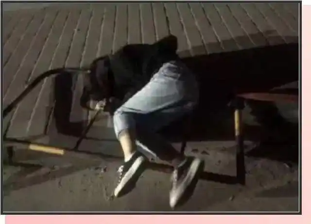 喝醉酒的女人能有多可怕?看完网友们的经历,笑到我头掉哈哈哈