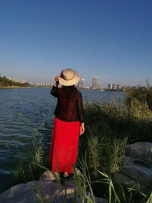 64岁的背影(2020年)