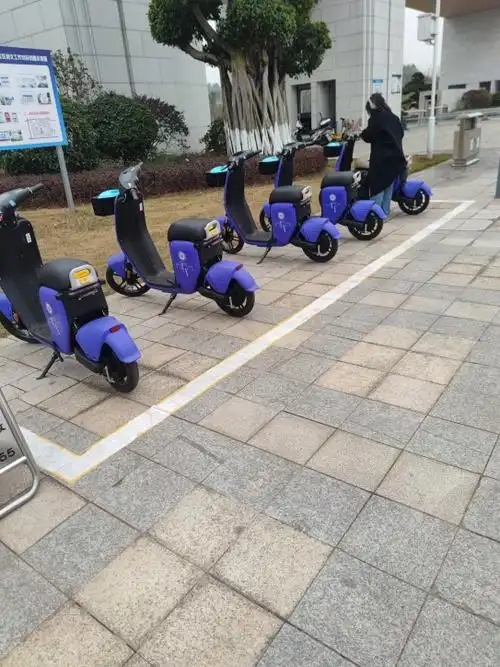 轻化工大学也有共享电动车了