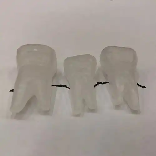 评分评选出雕刻得最优秀的牙比赛结果新鲜出炉快看看你有没有被pick呢