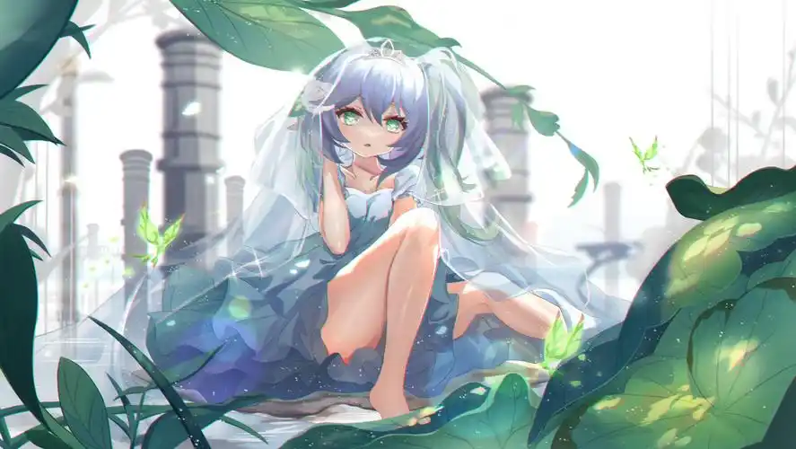 花嫁,小草神插画图片壁纸