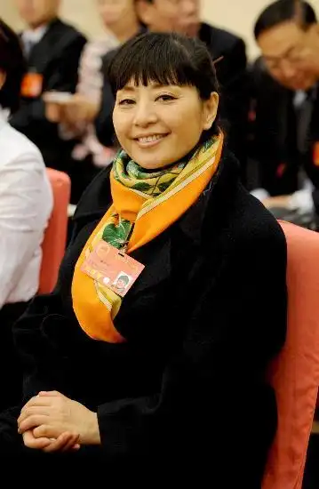 图文:殷秀梅出席黑龙江代表团审议