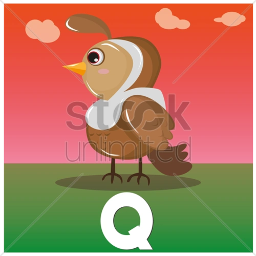 letter q for quail 矢量图 - 1398609 | 无限图
