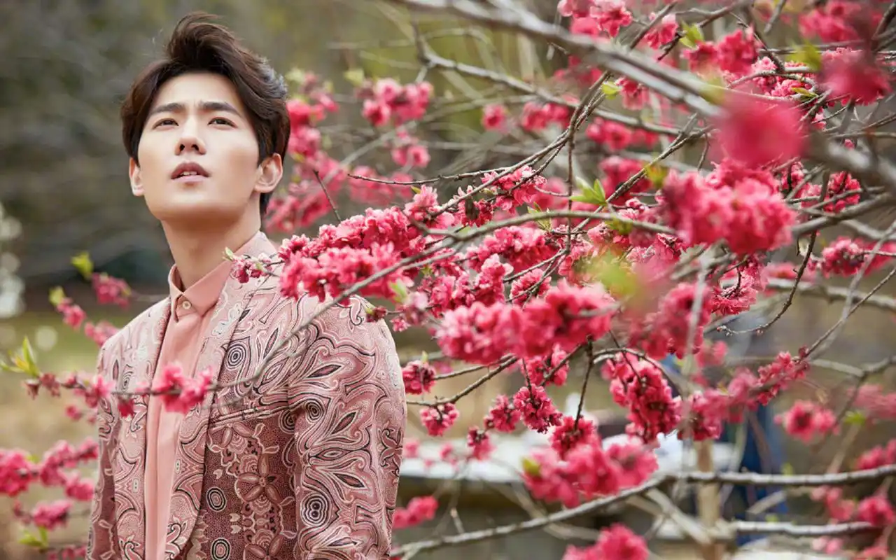 杨洋桃花树下浪漫帅气写真图片桌面壁纸