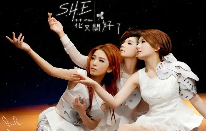 s.h.e和selina前夫深夜聚餐似老友,阿中表示she有望再合体演出