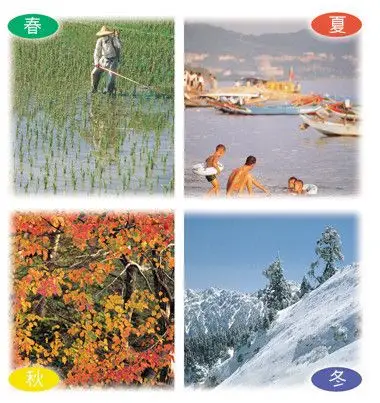 少年牛顿(第8期)