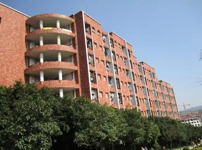 重庆南方翻译学院图片