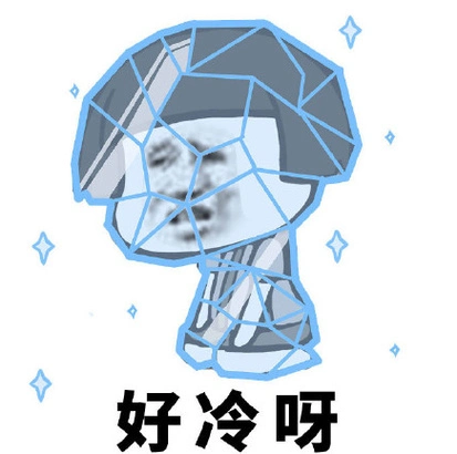 5,厦门的冬天最冷的天气一般是在春节前,晚上最低温度大概5度对南方人