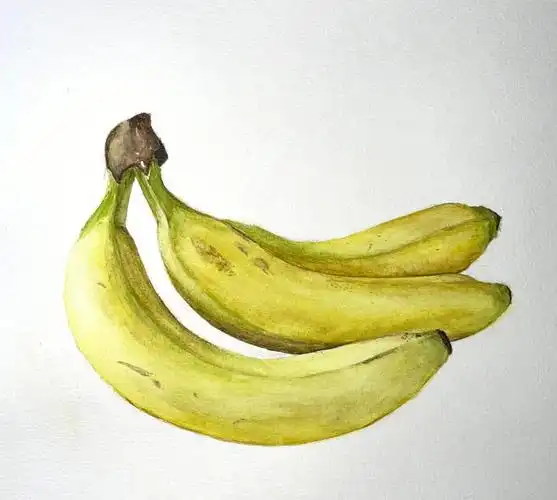 所以就只记录了草莓的过程#水彩  #水果  #水彩画教程