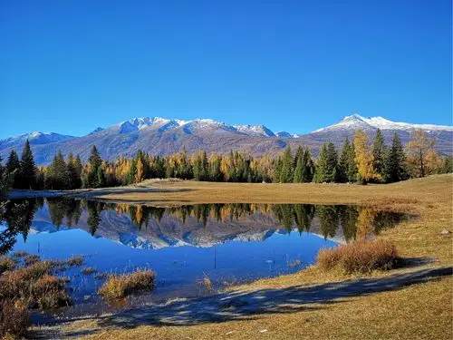 天山南北好风光
