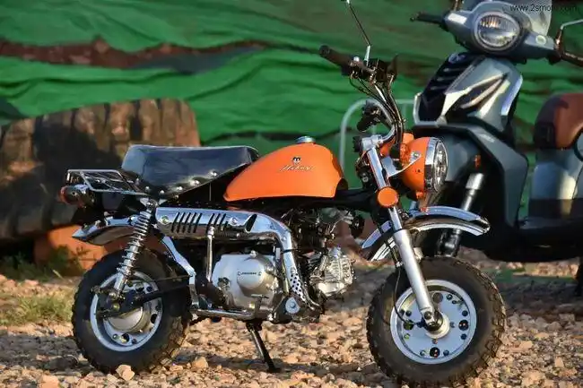 出乎意料的有趣,把玩jc70金童