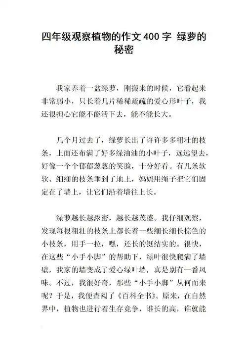 四年级观察植物的作文400字 绿萝的秘密.docx