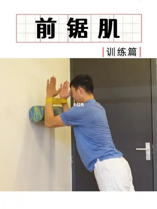 运动康复   #前锯肌   #前锯肌训练高级班10.