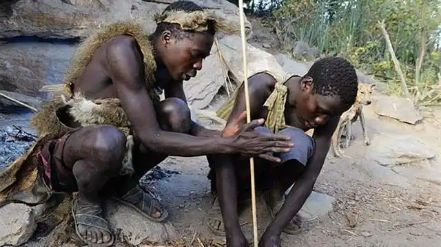 生活在非洲原始森林的部落:当地人民最高不过1米6,却食量惊人?