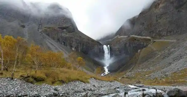 而长白山上的"守参蛇"一直都是神秘事件的代表