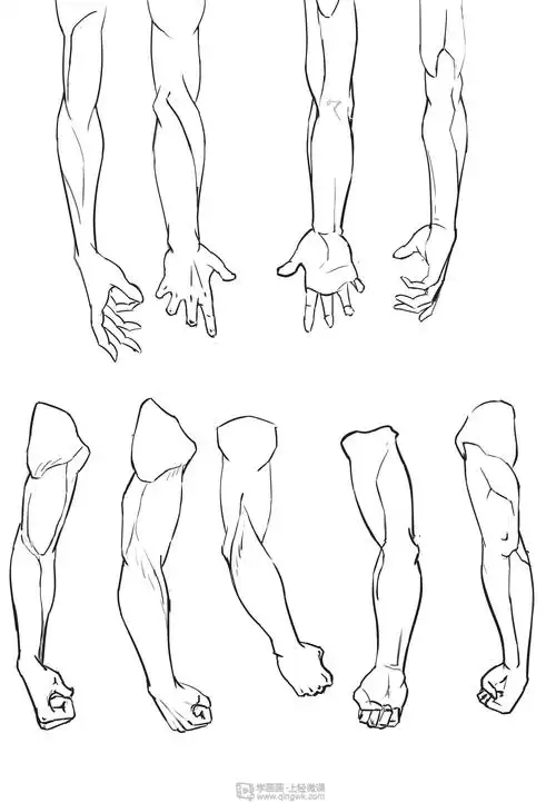 写生手臂—人体体块手臂肌肉的练习