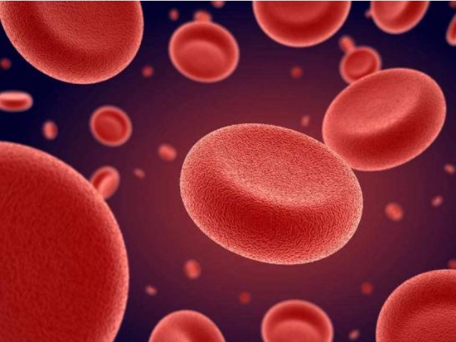 缺铁性贫血红细胞