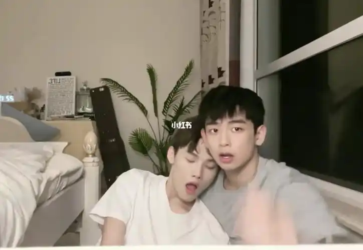 用心去看!让时间证明!#鹤楷cp  #alexseb