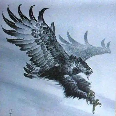 我想用鹰的图片作为头像使用最好霸气帅一点有意境谁有吗或者推荐一下