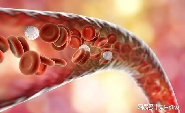 红细胞|血管|粘稠度_网易订阅
