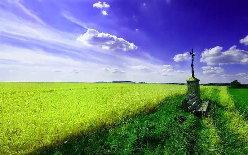 美丽的春天风景壁纸