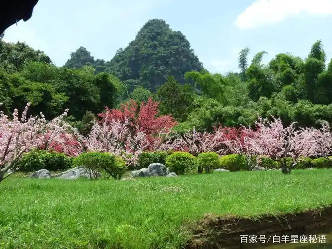桃花岛美景:风景秀丽的桃花岛,如此美景值得一游
